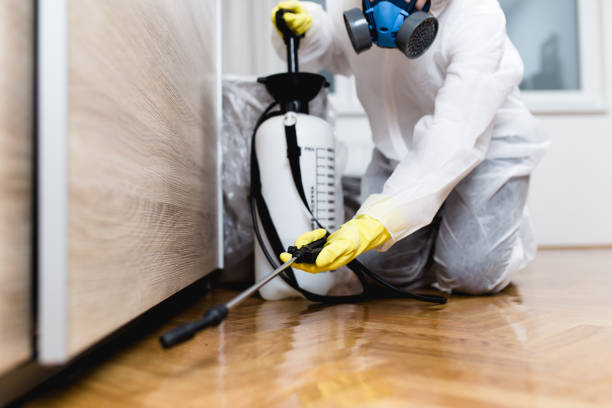 Best Pest Control for Restaurants  in Farmington, MO