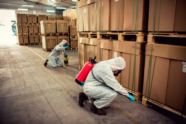 Best Pest Control Near Me  in Farmington, MO