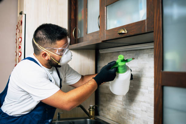 Reliable Farmington, MO Pest Control Solutions
