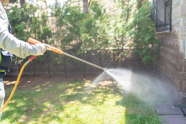 Best Pest Prevention Services  in Farmington, MO