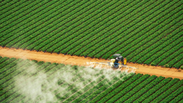 Best Mosquito Control Services  in Farmington, MO