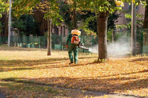 Best Affordable Pest Control Services  in Farmington, MO