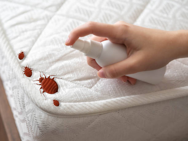 Pest Control for Restaurants in Farmington, MO
